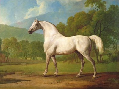 Mambrino by George Stubbs